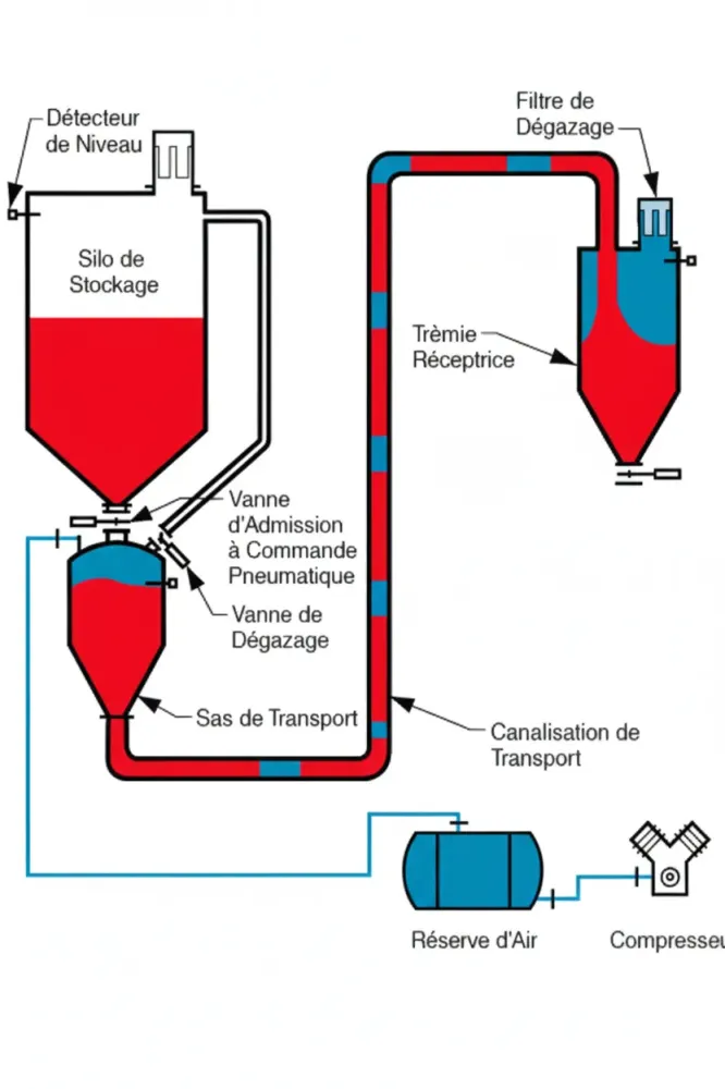 Firefly_Gemini Flash_agrandir l'image avec une meilleure résolution 55048 (1)webp
